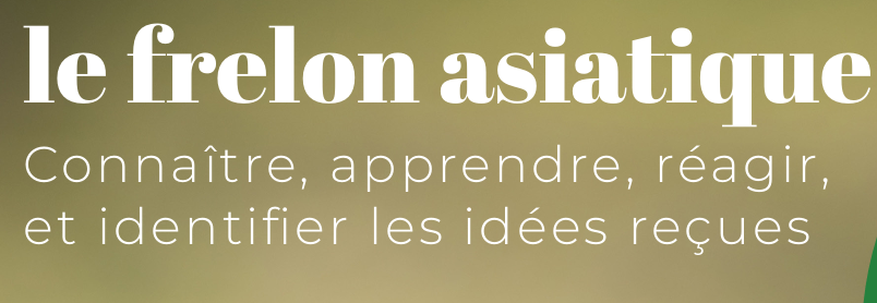 Les pollinisateurs : cycle de conférences